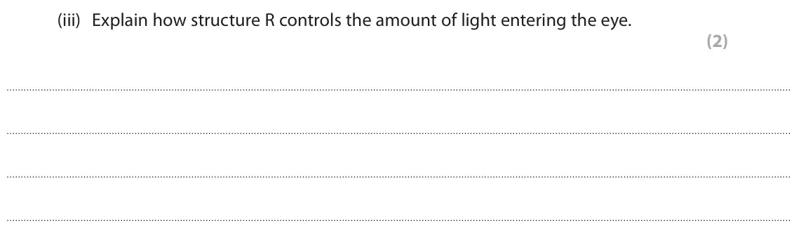 June 2024 Paper 1 Foundation, question 3(a)(iii): Explain how structure R controls the amount of light entering the eye. (2)