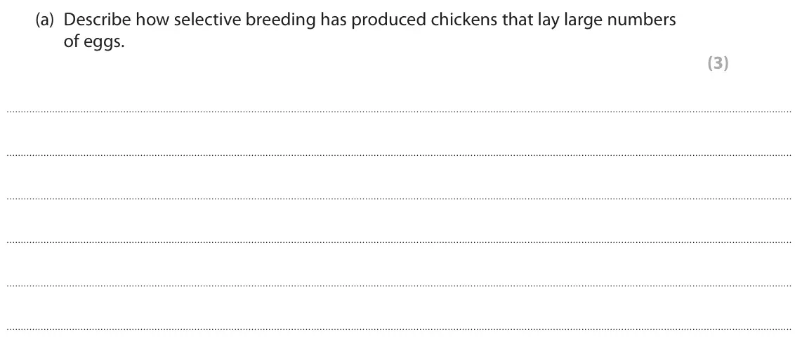 June 2024 Paper 1 Foundation, question 4(a): Describe how selective breeding has produced chickens that lay large numbers of eggs. (3)