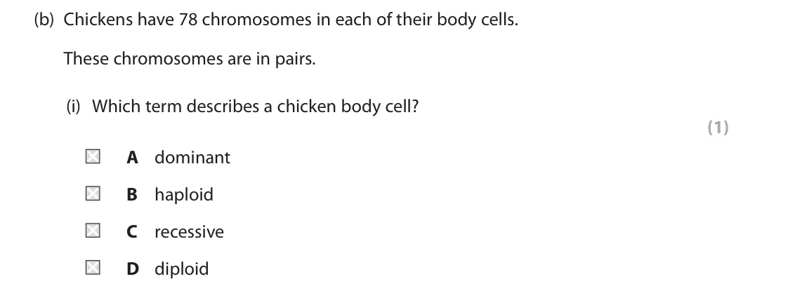 June 2024 Paper 1 Foundation, question 4(b)(i): Which term describes a chicken body cell? (1) A dominant B haploid C recessive D diploid