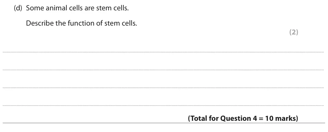 June 2024 Paper 1 Foundation, question 4(d): Some animal cells are stem cells. Describe the function of stem cells. (2)