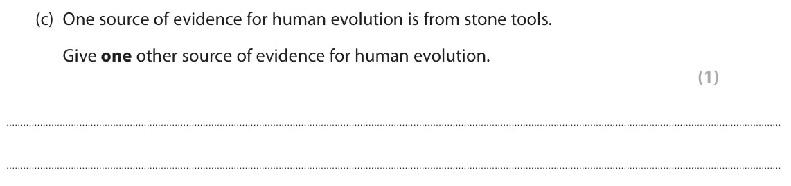 June 2024 Paper 1 Foundation, question 6(c): One source of evidence for human evolution is from stone tools. Give one other source of evidence for human evolution. (1)