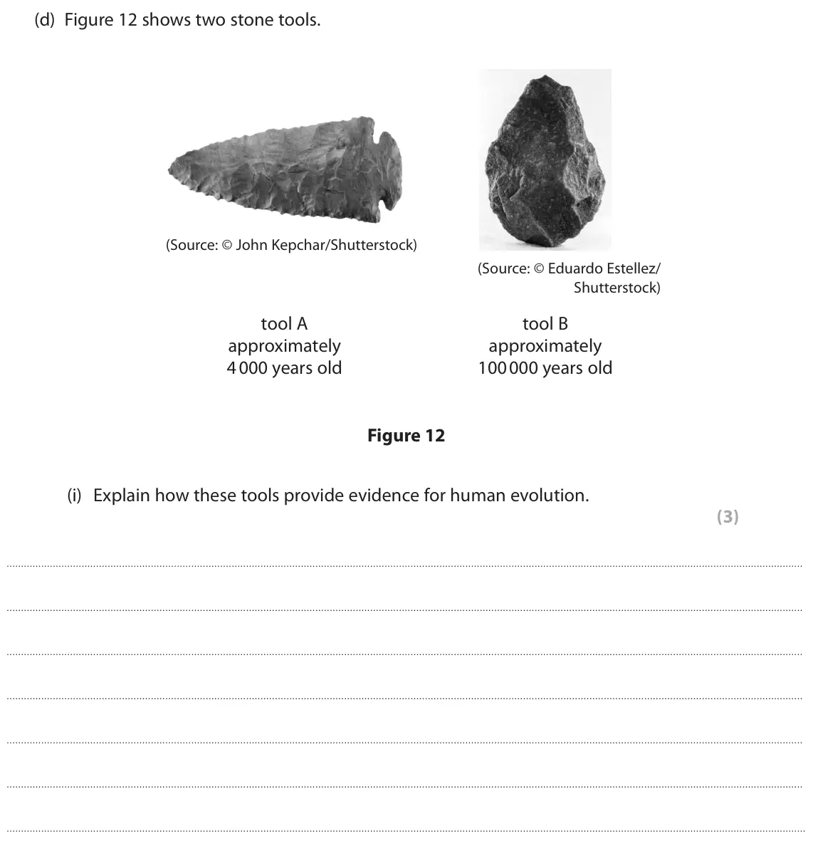 June 2024 Paper 1 Foundation, question 6(d)(i): Explain how these tools provide evidence for human evolution. (3)