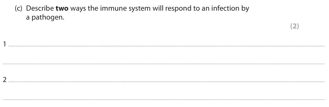 June 2024 Paper 1 Foundation, question 9(c): Describe two ways the immune system will respond to an infection by a pathogen. (2) 1 2