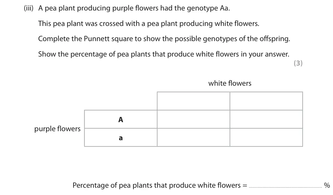 June 2024 Paper 1 Foundation, question 10(a)(iii): A pea plant producing purple flowers had the genotype Aa. This pea plant was crossed with a pea plant producing white flowers. Complete the Punnett square to sh