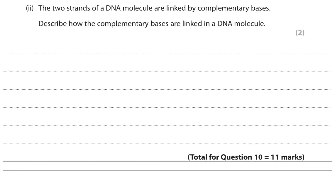 June 2024 Paper 1 Foundation, question 10(c)(ii): The two strands of a DNA molecule are linked by complementary bases. Describe how the complementary bases are linked in a DNA molecule. (2)