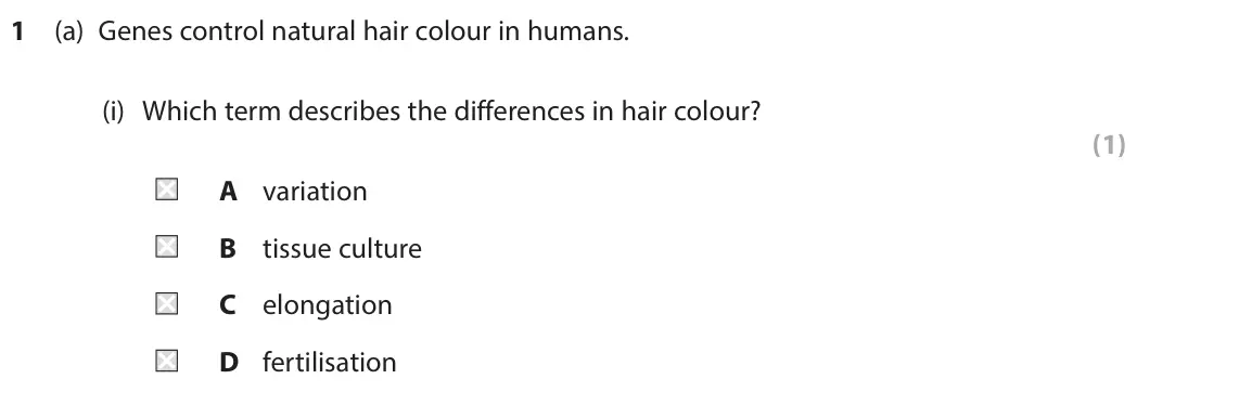 June 2025 Paper 1 Foundation, question 1(a)(i): Which term describes the differences in hair colour? (1) A variation B tissue culture C elongation D fertilisation