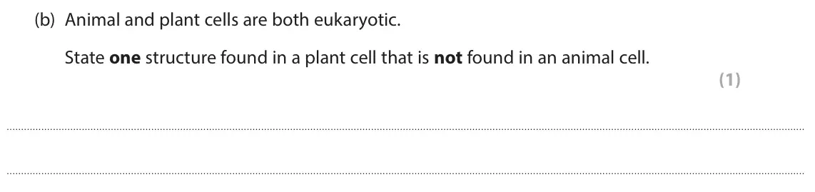 June 2025 Paper 1 Foundation, question 2(b): Animal and plant cells are both eukaryotic. State one structure found in a plant cell that is not found in an animal cell. (1)