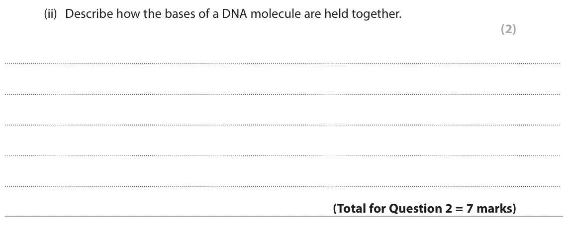 June 2025 Paper 1 Foundation, question 2(c)(ii): Describe how the bases of a DNA molecule are held together. (2)