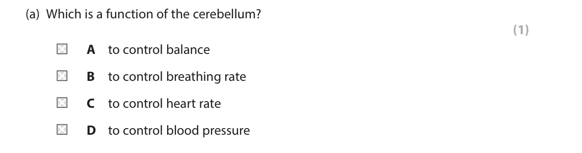 June 2025 Paper 1 Foundation, question 3(a): Which is a function of the cerebellum? (1) A to control balance B to control breathing rate C to control heart rate D to control blood pressure