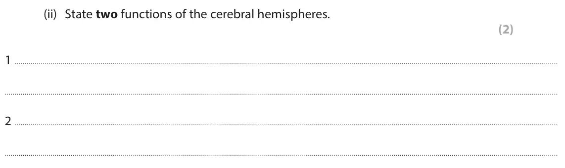 June 2025 Paper 1 Foundation, question 3(b)(ii): State two functions of the cerebral hemispheres. (2) 1 2