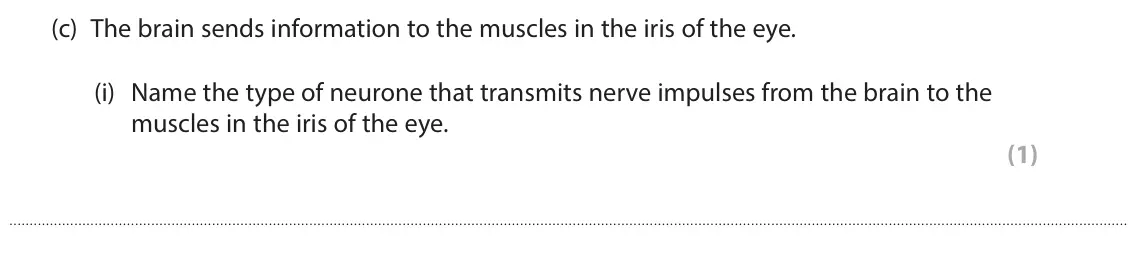 June 2025 Paper 1 Foundation, question 3(c)(i): Name the type of neurone that transmits nerve impulses from the brain to the muscles in the iris of the eye. (1)