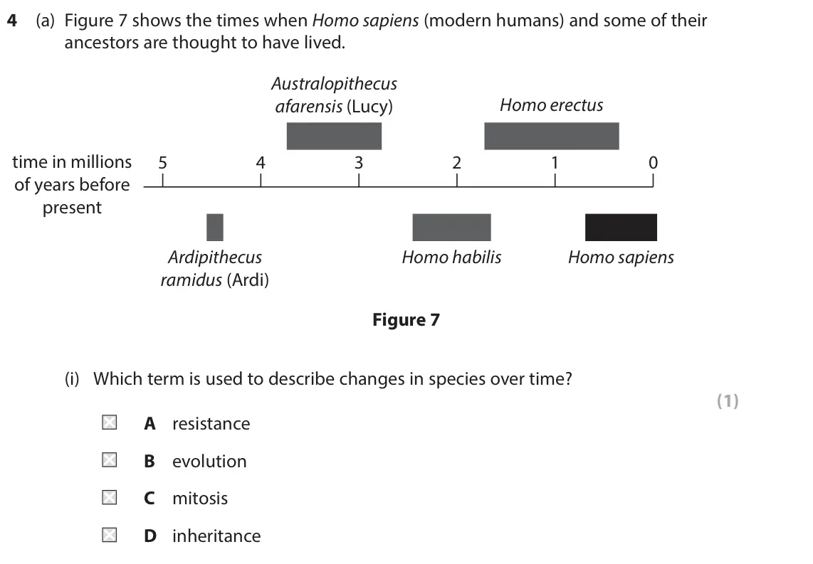 June 2025 Paper 1 Foundation, question 4(a)(i): Which term is used to describe changes in species over time? (1) A resistance B evolution C mitosis D inheritance