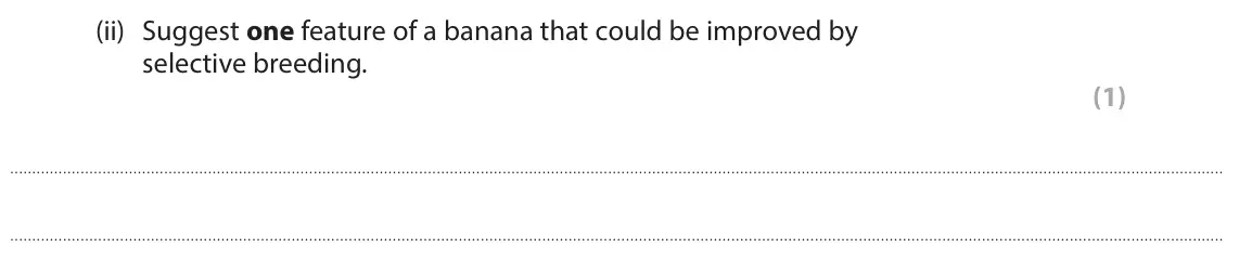 June 2025 Paper 1 Foundation, question 4(b)(ii): Suggest one feature of a banana that could be improved by selective breeding. (1)