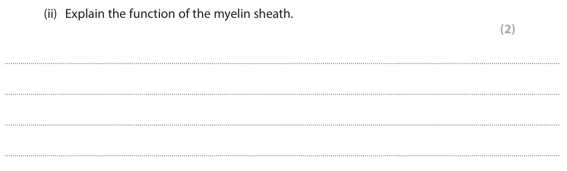 June 2025 Paper 1 Foundation, question 6(b)(ii): Explain the function of the myelin sheath. (2)