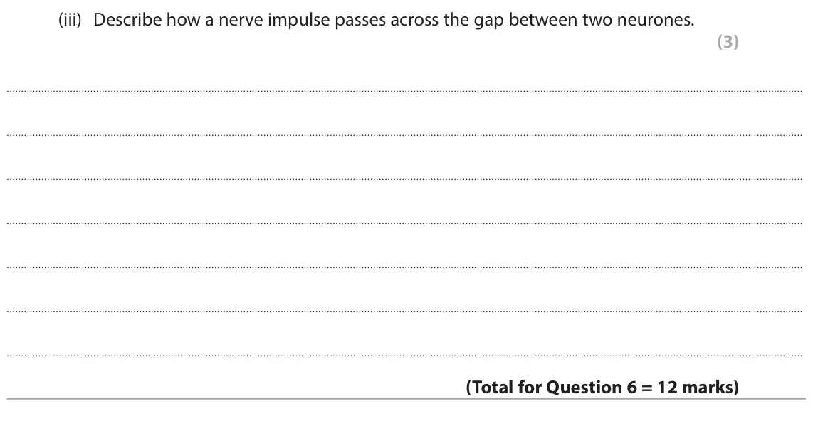 June 2025 Paper 1 Foundation, question 6(b)(iii): Describe how a nerve impulse passes across the gap between two neurones. (3)