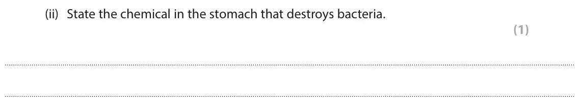 June 2025 Paper 1 Foundation, question 7(b)(ii): State the chemical in the stomach that destroys bacteria. (1)