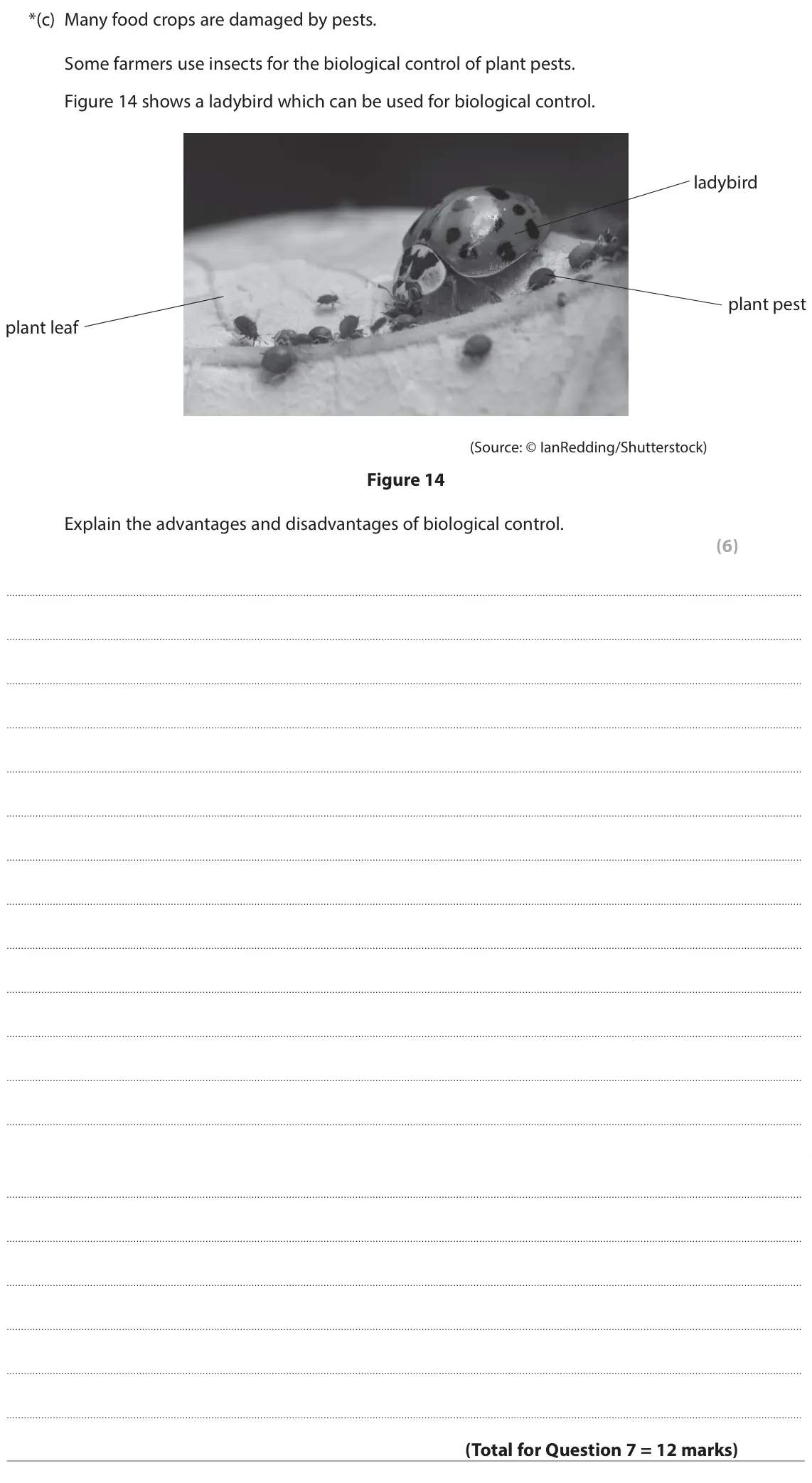 June 2025 Paper 1 Foundation, question 7(c): Many food crops are damaged by pests. Some farmers use insects for the biological control of plant pests. Figure 14 shows a ladybird which can be used for biolo