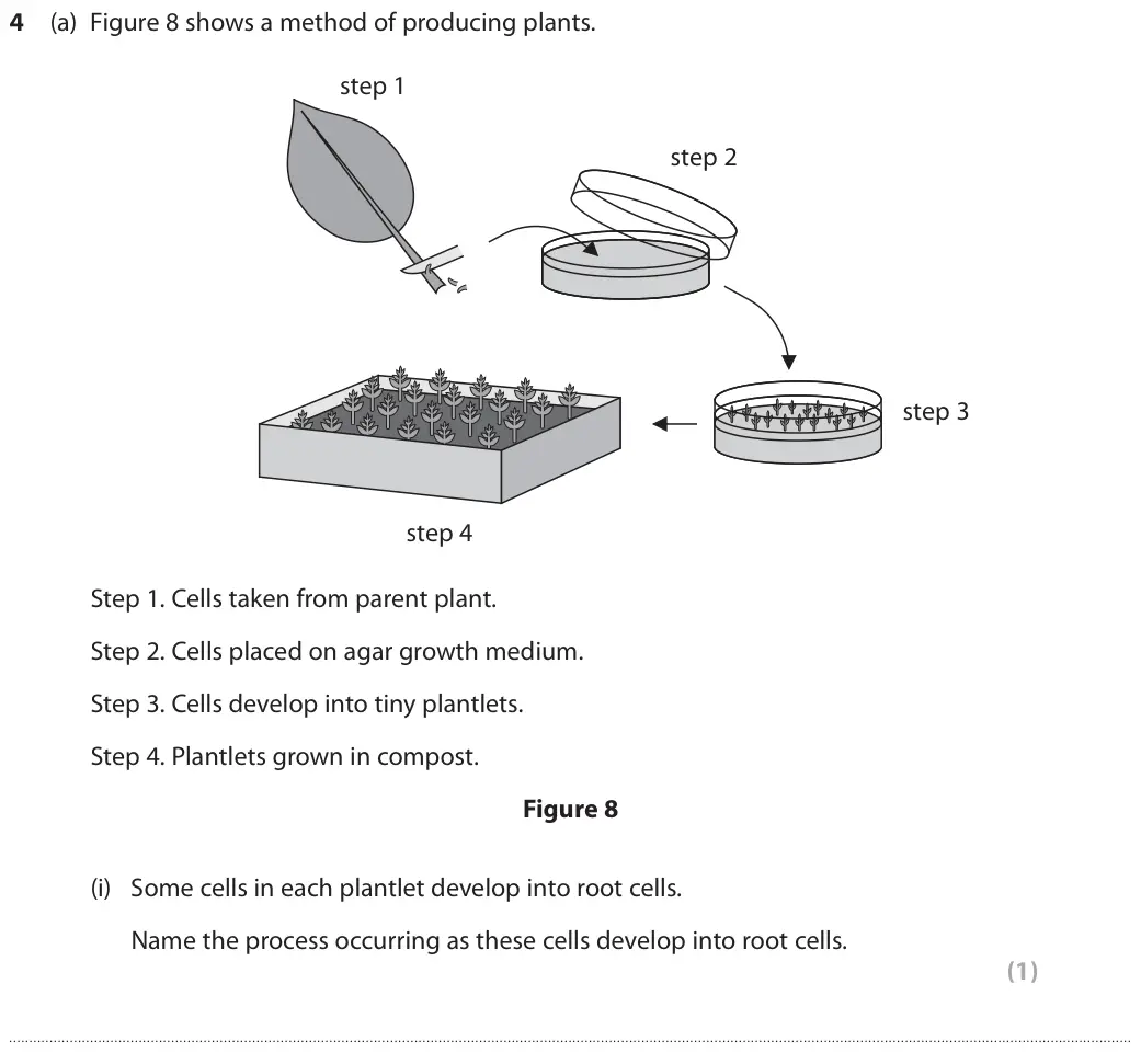 June 2018 Paper 1 Higher, question 4(a)(i): Some cells in each plantlet develop into root cells. Name the process occurring as these cells develop into root cells. (1)