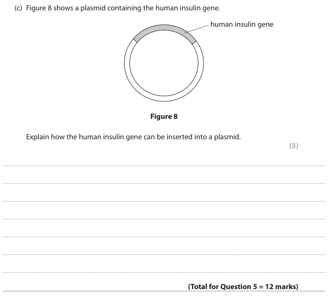 June 2019 Paper 1 Higher, question 5(c): Figure 8 shows a plasmid containing the human insulin gene. human insulin gene Figure 8 Explain how the human insulin gene can be inserted into a plasmid. (3)