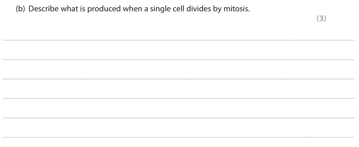 June 2022 Paper 1 Higher, question 7(b): Describe what is produced when a single cell divides by mitosis. (3)