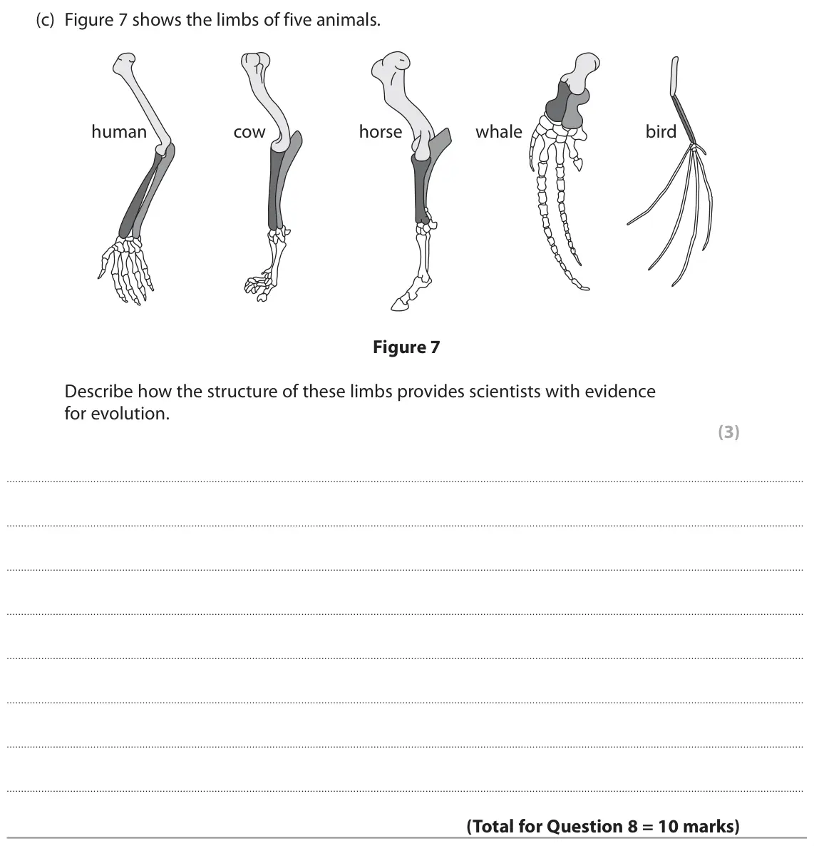 June 2022 Paper 1 Higher, question 8(c): Figure 7 shows the limbs of five animals. human cow horse whale bird Figure 7 Describe how the structure of these limbs provides scientists with evidence for ev