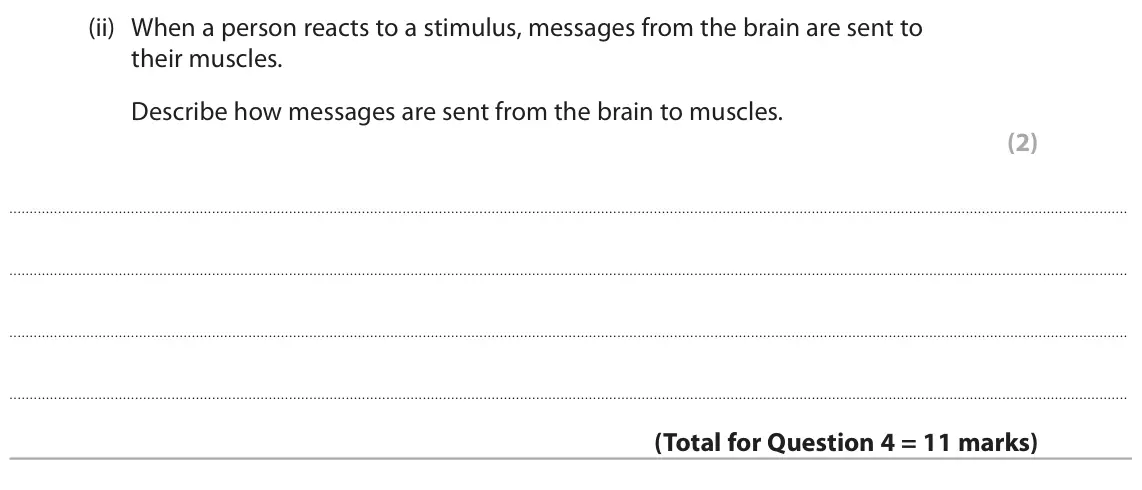 June 2023 Paper 1 Higher, question 4(c)(ii): When a person reacts to a stimulus, messages from the brain are sent to their muscles. Describe how messages are sent from the brain to muscles. (2)