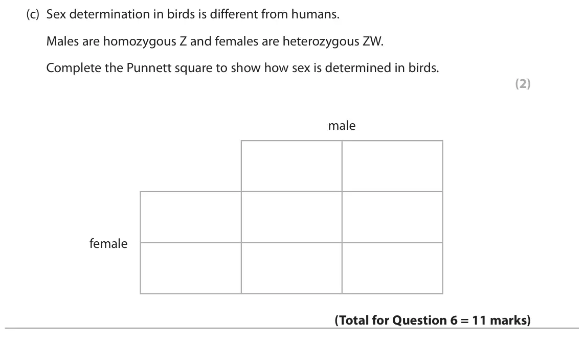June 2023 Paper 1 Higher, question 6(c): Sex determination in birds is different from humans. Males are homozygous Z and females are heterozygous ZW. Complete the Punnett square to show how sex is dete