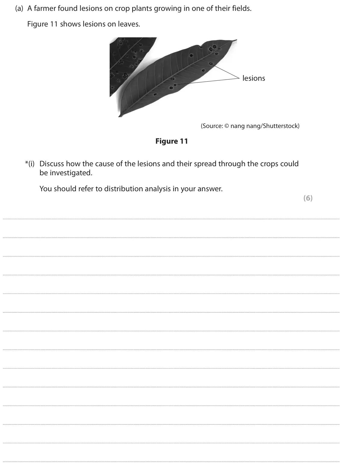 June 2023 Paper 1 Higher, question 7(a)(i): Discuss how the cause of the lesions and their spread through the crops could be investigated. You should refer to distribution analysis in your answer. (6)