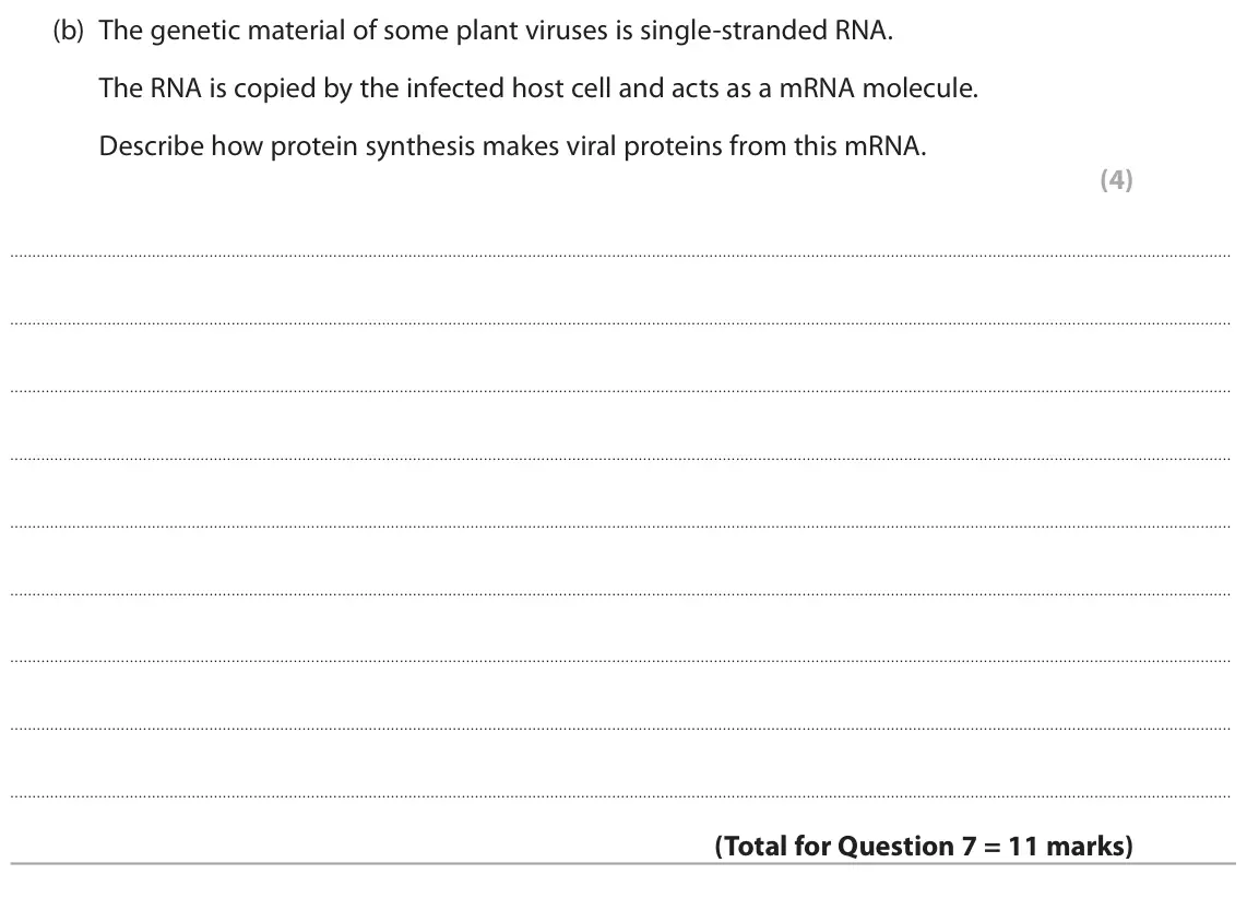 June 2023 Paper 1 Higher, question 7(b): The genetic material of some plant viruses is single-stranded RNA. The RNA is copied by the infected host cell and acts as a mRNA molecule. Describe how protein