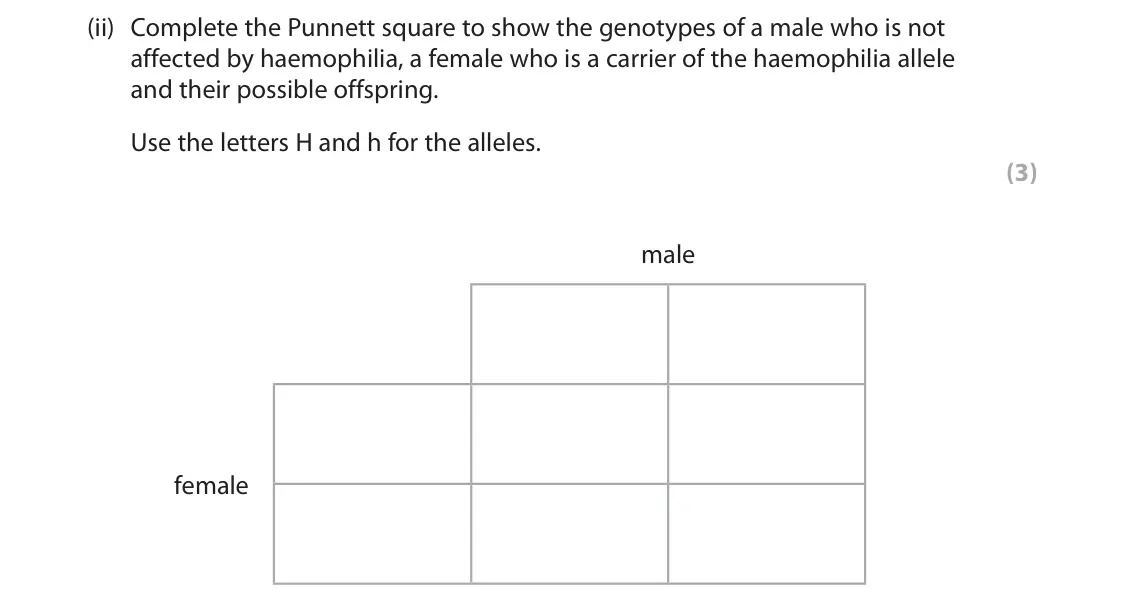 June 2023 Paper 1 Higher, question 10(a)(ii): Complete the Punnett square to show the genotypes of a male who is not affected by haemophilia, a female who is a carrier of the haemophilia allele and their po