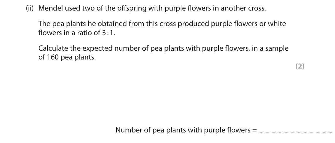June 2024 Paper 1 Higher, question 4(a)(ii): Mendel used two of the offspring with purple flowers in another cross. The pea plants he obtained from this cross produced purple flowers or white flowers in a