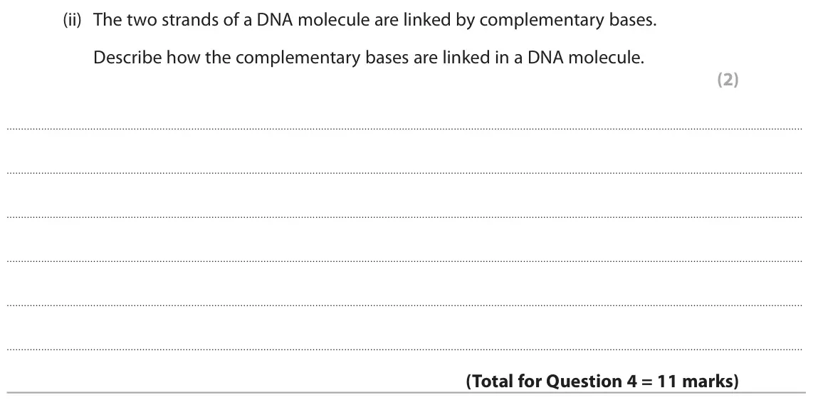 June 2024 Paper 1 Higher, question 4(c)(ii): The two strands of a DNA molecule are linked by complementary bases. Describe how the complementary bases are linked in a DNA molecule. (2)