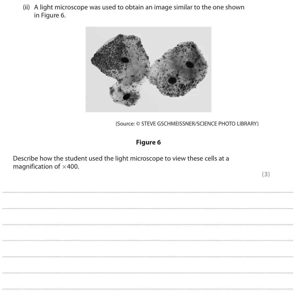 June 2024 Paper 1 Higher, question 5(a)(ii): A light microscope was used to obtain an image similar to the one shown in Figure 6. (Source: © STEVE GSCHMEISSNER/SCIENCE PHOTO LIBRARY) Figure 6 Describe how