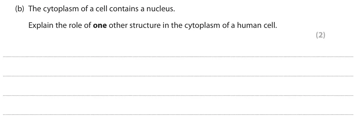 June 2024 Paper 1 Higher, question 5(b): The cytoplasm of a cell contains a nucleus. Explain the role of one other structure in the cytoplasm of a human cell. (2)