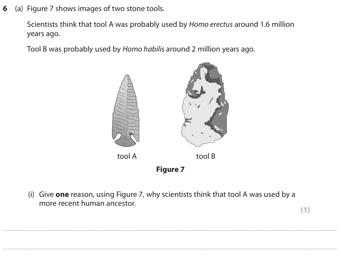 June 2024 Paper 1 Higher, question 6(a)(i): Give one reason, using Figure 7, why scientists think that tool A was used by a more recent human ancestor. (1)