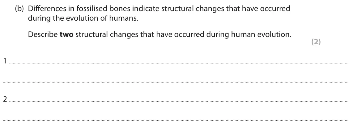 June 2024 Paper 1 Higher, question 6(b): Differences in fossilised bones indicate structural changes that have occurred during the evolution of humans. Describe two structural changes that have occurre