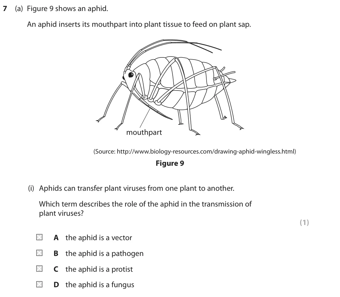 June 2024 Paper 1 Higher, question 7(a)(i): Aphids can transfer plant viruses from one plant to another. Which term describes the role of the aphid in the transmission of plant viruses? (1) A the aphid is