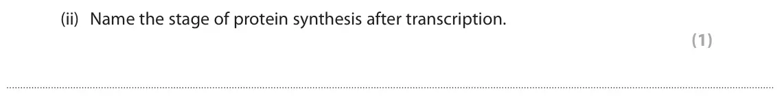 June 2024 Paper 1 Higher, question 7(b)(ii): Name the stage of protein synthesis after transcription. (1)