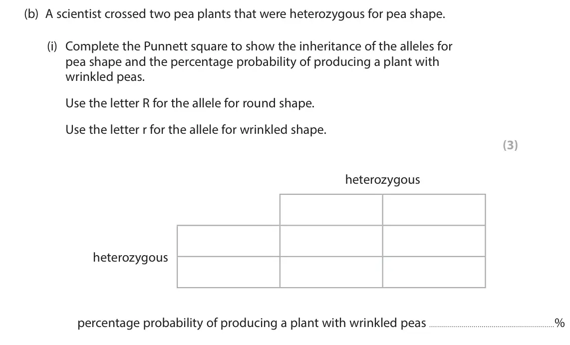 June 2025 Paper 1 Higher, question 4(b)(i): Complete the Punnett square to show the inheritance of the alleles for pea shape and the percentage probability of producing a plant with wrinkled peas. Use the