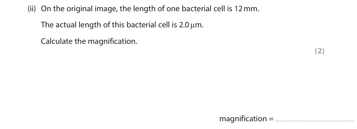 June 2025 Paper 1 Higher, question 6(a)(ii): On the original image, the length of one bacterial cell is 12 mm. The actual length of this bacterial cell is 2.0 µm. Calculate the magnification. (2) magnifica