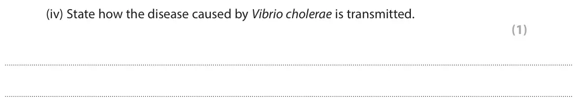 June 2025 Paper 1 Higher, question 6(a)(iv): State how the disease caused by Vibrio cholerae is transmitted. (1)