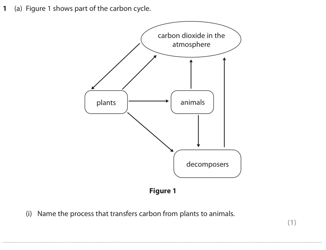 June 2022 Paper 2 Foundation, question 1(a)(i): Name the process that transfers carbon from plants to animals. (1)
