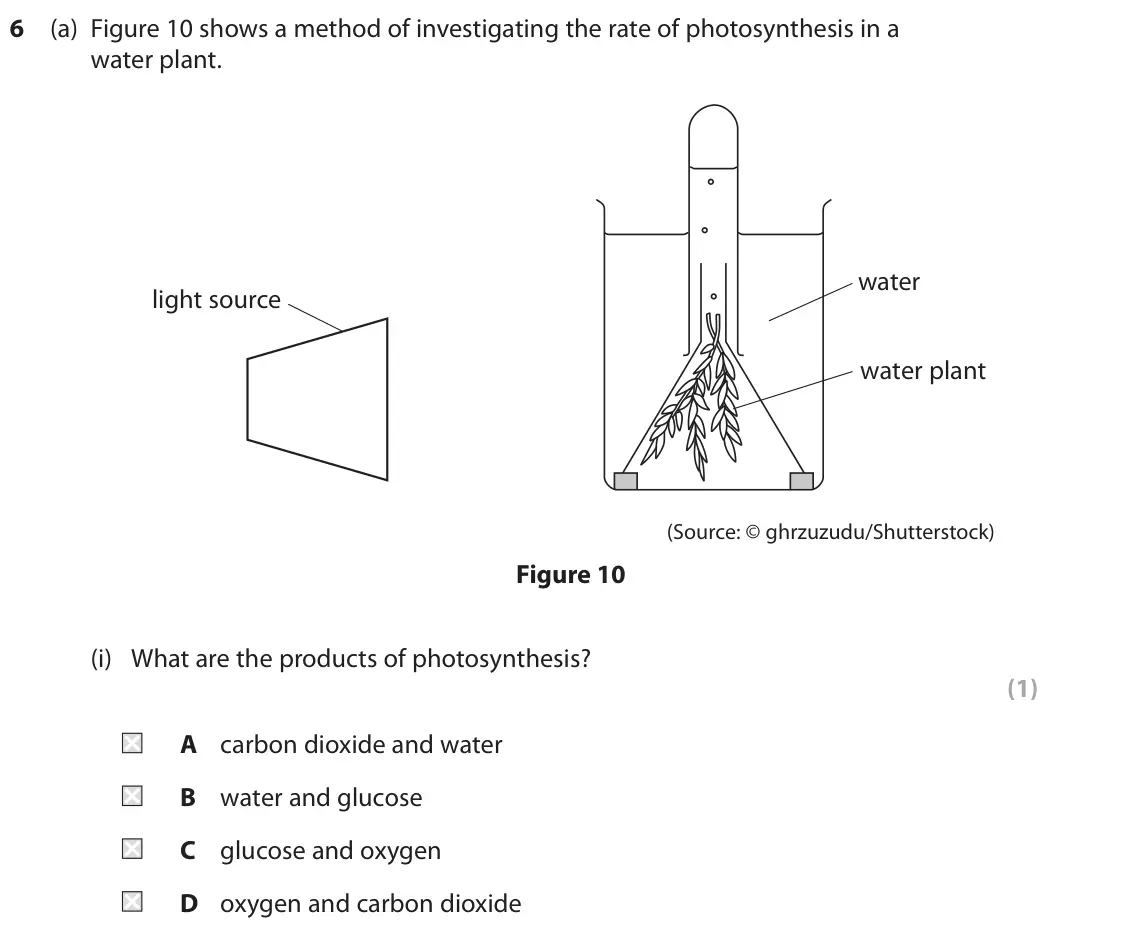 June 2022 Paper 2 Foundation, question 6(a)(i): What are the products of photosynthesis? (1) A carbon dioxide and water B water and glucose C glucose and oxygen D oxygen and carbon dioxide