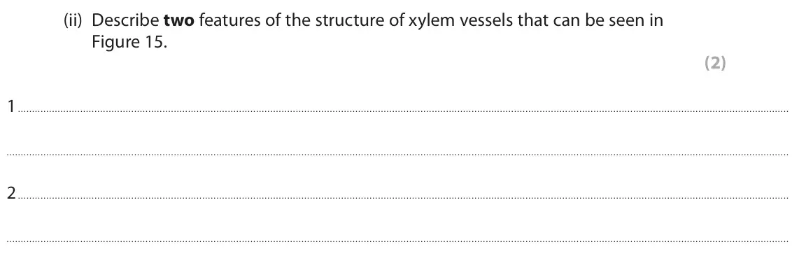 June 2022 Paper 2 Foundation, question 8(b)(ii): Describe two features of the structure of xylem vessels that can be seen in Figure 15. (2) 1 2