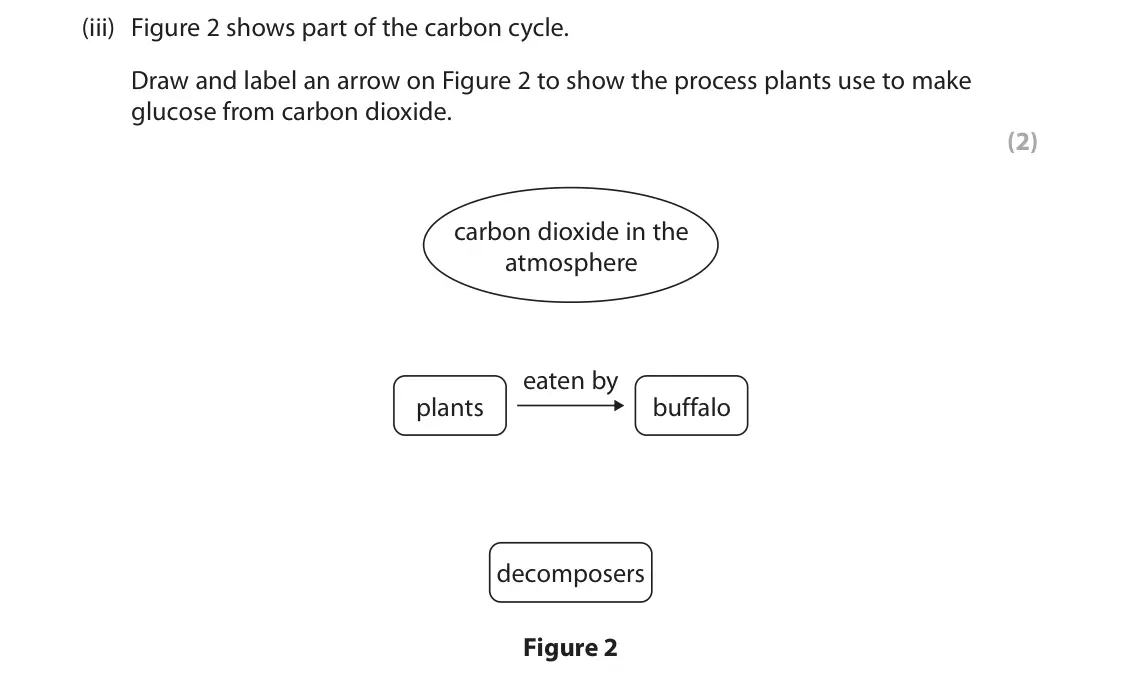 June 2023 Paper 2 Foundation, question 1(a)(iii): Figure 2 shows part of the carbon cycle. Draw and label an arrow on Figure 2 to show the process plants use to make glucose from carbon dioxide. (2) carbon diox