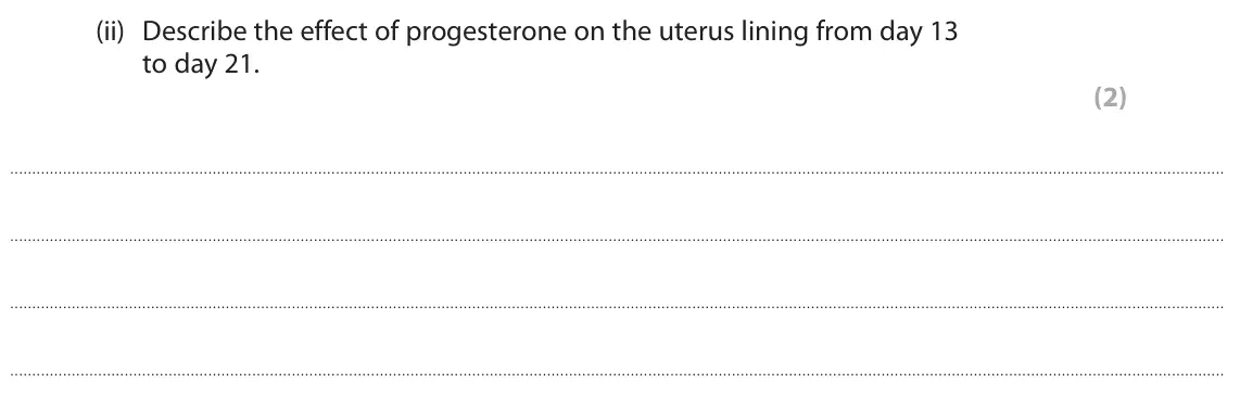 June 2023 Paper 2 Foundation, question 4(b)(ii): Describe the effect of progesterone on the uterus lining from day 13 to day 21. (2)