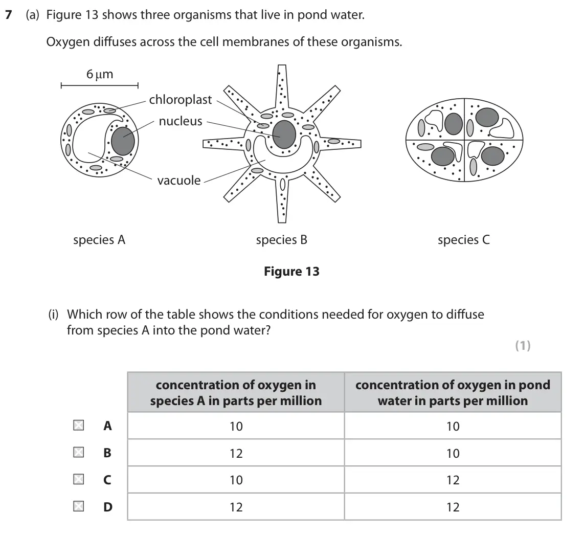 June 2023 Paper 2 Foundation, question 7(a)(i): Which row of the table shows the conditions needed for oxygen to diffuse from species A into the pond water? (1) concentration of oxygen in concentration of oxy
