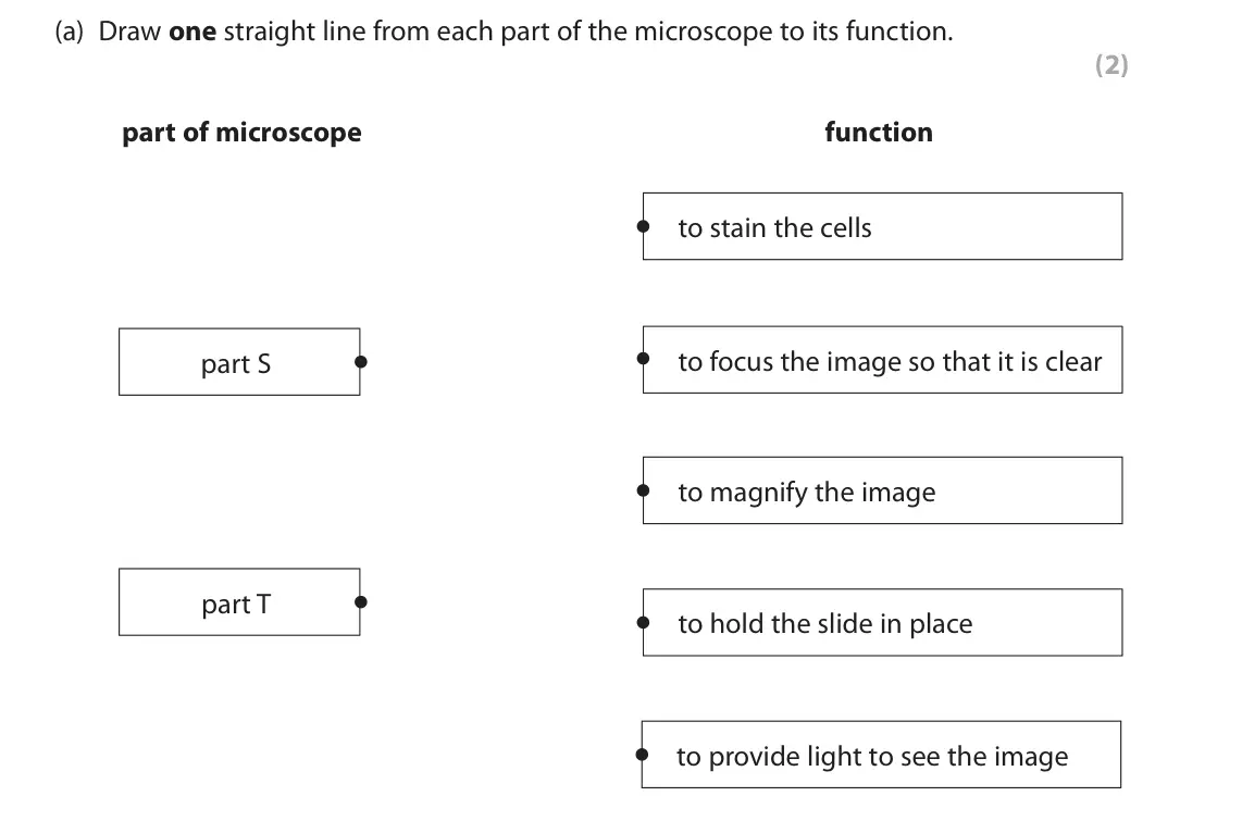 June 2024 Paper 2 Foundation, question 1(a): Draw one straight line from each part of the microscope to its function. (2) part of microscope function to stain the cells to focus the image so that it is cle