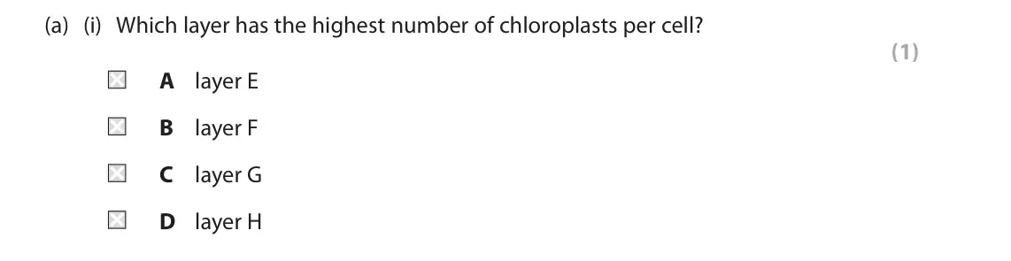 June 2024 Paper 2 Foundation, question 5(a)(i): Which layer has the highest number of chloroplasts per cell? (1) A layer E B layer F C layer G D layer H