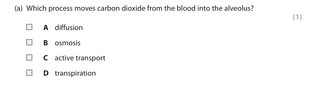 June 2024 Paper 2 Foundation, question 6(a): Which process moves carbon dioxide from the blood into the alveolus? (1) A diffusion B osmosis C active transport D transpiration